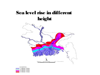 Sea level rise in different
height
 