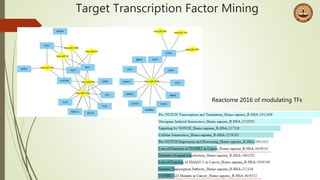 Target Transcription Factor Mining
Reactome 2016 of modulating TFs
 