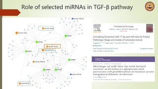Role of selected miRNAs in TGF-β pathway
 