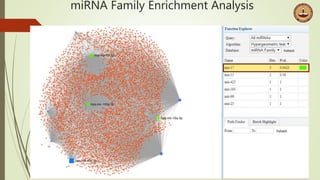 miRNA Family Enrichment Analysis
 