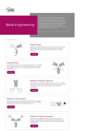 BsAb Engineering Services.pdf