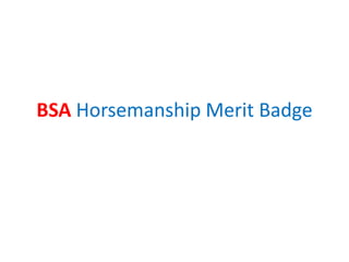 BSA Horsemanship Merit Badge 
 