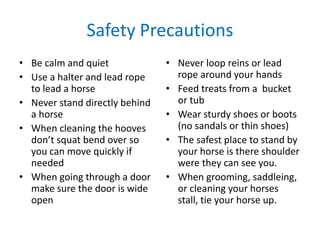 bsa horsemanship mb