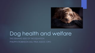 Dog health and welfare
THE DEMAND SIDE OF THE EQUATION
PHILIPPA ROBINSON MSc FRSA ASSOC CIPD
 