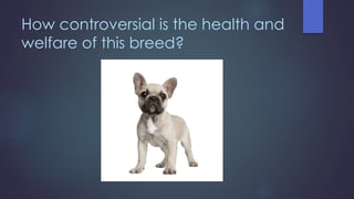 Philippa Robinson's presentation on dog health and welfare at BSAVA 2015