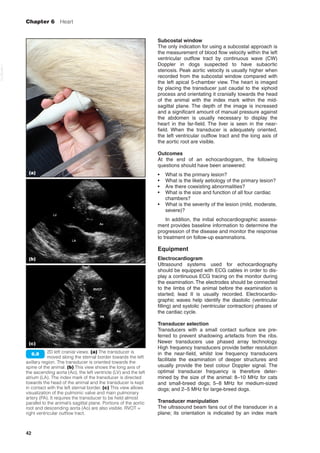 Curated visual reference: Picture Idea: Bsava Manual Of Canine And Feline Ultrasonography Pdf