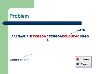 CCCGGGAAACGAAUAU CCUCUCACCCGGGA CUUGGCCCGGGAAACGAAUAU CCUCUCACCCGGG
A
CUUGG
Problem
Mature mRNA
mRNA
Intron
Exon
 