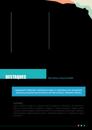 14
Piedade MTF et al 2010 Aquatic herbaceous
plants of the Amazon floodplains: state
of the art and research needed Acta
Limnologica Brasiliensia 22: 165-178
Ritter CD et al 2017 Environmental impact
assessment in Brazilian Amazonia:
Challenges and prospects to assess
biodiversity Biological Conservation 206:
161–168
Salomão, RP; ICG Vieira, C Suemitsu; NA Rosa;
S S Almeida; DD Amaral; MPM Menezes
2007 As florestas de Belo Monte na
grande curva do rio Xingu, Amazônia
Oriental Bol Mus Para Emílio Goeldi
Ciências Naturais, Belém, v 2, n 3, p 57-
153, set-dez 2007
Schneider B, Cunha ER, Marchese M,
Thomaz SM 2018 Associations
between Macrophyte Life Forms and
Environmental and Morphometric
FactorsinaLargeSub-tropicalFloodplain
Frontiers in Plant Science 9: article 195
Silva TSF, Melack JM, Novo EMLM 2013
Responses of aquatic macrophyte cover
and productivity to flooding variability on
the Amazon floodplain Global Change
Biology 19: 3379-3389
Van Zyll de Jong MC, Gibson RJ, Cowx IG 2004
Impacts of stocking and introductions
on freshwater fisheries of Newfoundland
and Labrador, Canada Fisheries
Management and Ecology 11: 183-193
Thomaz SM, Bini LM (Eds) 2003 Ecologia
e Manejo de Macrófitas Aquáticas
Maringá: EDUEM
Zuluaga-Gómez MA, Fitzgerald DB, Giarrizzo
T, Winemiller KO 2016 Morphologic and
trophic diversity of fish assemblages
in rapids of the Xingu River, a major
Amazon tributary and region of
endemism Environmental Biology of
Fishes 99: 647–658
DESTAQUES
AUTORES
Iago V. Geller1,2, Diego A. Z. Garcia2, Alan D. Pereira1,2, Armando C. R. Casimiro1,2,
Jean R. S. Vitule³, Éder A. Gubiani5,7, Thiago V. T. Occhi3, Vanessa S. Daga3, Laís O.
Carneiro3, Raul R. Braga3, Crislaine Cochak3, Vinícius Abilhoa4, Daniel da S. Ladislau5,
Renata Ruaro6, Tiago Debona7, Carla S. Pavanelli8, Robertson F. Azevedo9 e Mário
Luís Orsi1,2.
MANEJAR É PRECISO: PROPOSTA PARA O CONTROLE DO DOURADO
(Salminus brasiliensis) NA BACIA DO RIO IGUAÇU, PARANÁ, BRASIL
São Carlos, março de 2020
 