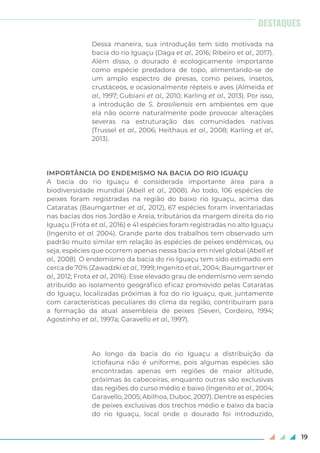 19
Dessa maneira, sua introdução tem sido motivada na
bacia do rio Iguaçu (Daga et al., 2016; Ribeiro et al., 2017).
Além disso, o dourado é ecologicamente importante
como espécie predadora de topo, alimentando-se de
um amplo espectro de presas, como peixes, insetos,
crustáceos, e ocasionalmente répteis e aves (Almeida et
al., 1997; Gubiani et al., 2010; Karling et al., 2013). Por isso,
a introdução de S. brasiliensis em ambientes em que
ela não ocorre naturalmente pode provocar alterações
severas na estruturação das comunidades nativas
(Trussel et al., 2006; Heithaus et al., 2008; Karling et al.,
2013).
IMPORTÂNCIA DO ENDEMISMO NA BACIA DO RIO IGUAÇU
A bacia do rio Iguaçu é considerada importante área para a
biodiversidade mundial (Abell et al., 2008). Ao todo, 106 espécies de
peixes foram registradas na região do baixo rio Iguaçu, acima das
Cataratas (Baumgartner et al., 2012), 67 espécies foram inventariadas
nas bacias dos rios Jordão e Areia, tributários da margem direita do rio
Iguaçu (Frota et al., 2016) e 41 espécies foram registradas no alto Iguaçu
(Ingenito et al. 2004). Grande parte dos trabalhos tem observado um
padrão muito similar em relação às espécies de peixes endêmicas, ou
seja, espécies que ocorrem apenas nessa bacia em nível global (Abell et
al., 2008). O endemismo da bacia do rio Iguaçu tem sido estimado em
cerca de 70% (Zawadzki et al., 1999; Ingenito et al., 2004; Baumgartner et
al., 2012; Frota et al., 2016). Esse elevado grau de endemismo vem sendo
atribuído ao isolamento geográfico eficaz promovido pelas Cataratas
do Iguaçu, localizadas próximas à foz do rio Iguaçu, que, juntamente
com características peculiares do clima da região, contribuíram para
a formação da atual assembleia de peixes (Severi, Cordeiro, 1994;
Agostinho et al., 1997a; Garavello et al., 1997).
Ao longo da bacia do rio Iguaçu a distribuição da
ictiofauna não é uniforme, pois algumas espécies são
encontradas apenas em regiões de maior altitude,
próximas às cabeceiras, enquanto outras são exclusivas
das regiões do curso médio e baixo (Ingenito et al., 2004;
Garavello, 2005; Abilhoa, Duboc, 2007). Dentre as espécies
de peixes exclusivas dos trechos médio e baixo da bacia
do rio Iguaçu, local onde o dourado foi introduzido,
DESTAQUES
 