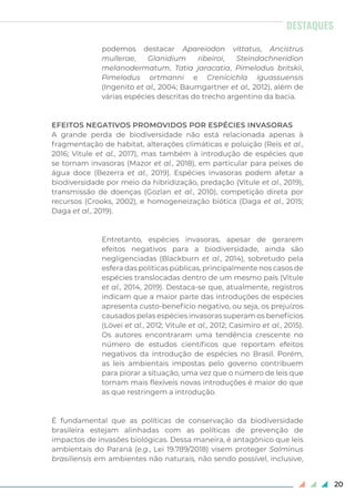 20
podemos destacar Apareiodon vittatus, Ancistrus
mullerae, Glanidium ribeiroi, Steindachneridion
melanodermatum, Tatia jaracatia, Pimelodus britskii,
Pimelodus ortmanni e Crenicichla iguassuensis
(Ingenito et al., 2004; Baumgartner et al., 2012), além de
várias espécies descritas do trecho argentino da bacia.
EFEITOS NEGATIVOS PROMOVIDOS POR ESPÉCIES INVASORAS
A grande perda de biodiversidade não está relacionada apenas à
fragmentação de habitat, alterações climáticas e poluição (Reis et al.,
2016; Vitule et al., 2017), mas também à introdução de espécies que
se tornam invasoras (Mazor et al., 2018), em particular para peixes de
água doce (Bezerra et al., 2019). Espécies invasoras podem afetar a
biodiversidade por meio da hibridização, predação (Vitule et al., 2019),
transmissão de doenças (Gozlan et al., 2010), competição direta por
recursos (Crooks, 2002), e homogeneização biótica (Daga et al., 2015;
Daga et al., 2019).
Entretanto, espécies invasoras, apesar de gerarem
efeitos negativos para a biodiversidade, ainda são
negligenciadas (Blackburn et al., 2014), sobretudo pela
esfera das políticas públicas, principalmente nos casos de
espécies translocadas dentro de um mesmo país (Vitule
et al., 2014, 2019). Destaca-se que, atualmente, registros
indicam que a maior parte das introduções de espécies
apresenta custo-benefício negativo, ou seja, os prejuízos
causados pelas espécies invasoras superam os benefícios
(Lövei et al., 2012; Vitule et al., 2012; Casimiro et al., 2015).
Os autores encontraram uma tendência crescente no
número de estudos científicos que reportam efeitos
negativos da introdução de espécies no Brasil. Porém,
as leis ambientais impostas pelo governo contribuem
para piorar a situação, uma vez que o número de leis que
tornam mais flexíveis novas introduções é maior do que
as que restringem a introdução.
É fundamental que as políticas de conservação da biodiversidade
brasileira estejam alinhadas com as políticas de prevenção de
impactos de invasões biológicas. Dessa maneira, é antagônico que leis
ambientais do Paraná (e.g., Lei 19.789/2018) visem proteger Salminus
brasiliensis em ambientes não naturais, não sendo possível, inclusive,
DESTAQUES
 