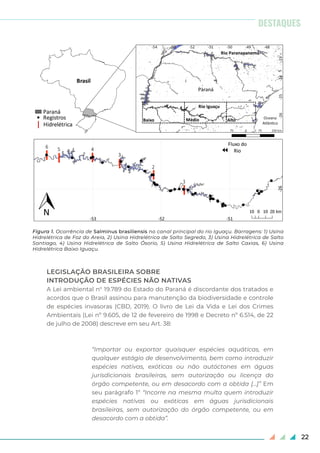22
LEGISLAÇÃO BRASILEIRA SOBRE
INTRODUÇÃO DE ESPÉCIES NÃO NATIVAS
A Lei ambiental n° 19.789 do Estado do Paraná é discordante dos tratados e
acordos que o Brasil assinou para manutenção da biodiversidade e controle
de espécies invasoras (CBD, 2019). O livro de Lei da Vida e Lei dos Crimes
Ambientais (Lei nº 9.605, de 12 de fevereiro de 1998 e Decreto nº 6.514, de 22
de julho de 2008) descreve em seu Art. 38:
“Importar ou exportar quaisquer espécies aquáticas, em
qualquer estágio de desenvolvimento, bem como introduzir
espécies nativas, exóticas ou não autóctones em águas
jurisdicionais brasileiras, sem autorização ou licença do
órgão competente, ou em desacordo com a obtida [...]” Em
seu parágrafo 1º “Incorre na mesma multa quem introduzir
espécies nativas ou exóticas em águas jurisdicionais
brasileiras, sem autorização do órgão competente, ou em
desacordo com a obtida”.
DESTAQUES
Figura 1. Ocorrência de Salminus brasiliensis no canal principal do rio Iguaçu. Barragens: 1) Usina
Hidrelétrica de Foz do Areia, 2) Usina Hidrelétrica de Salto Segredo, 3) Usina Hidrelétrica de Salto
Santiago, 4) Usina Hidrelétrica de Salto Ósorio, 5) Usina Hidrelétrica de Salto Caxias, 6) Usina
Hidrelétrica Baixo Iguaçu.
 