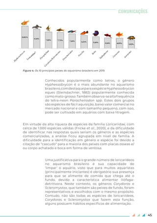 45
Conhecidos popularmente como tetras, o gênero
Hyphessobrycon é o mais abundante no aquarismo
brasileiro,comdestaqueparaaespécieHyphessobrycon
eques (Steindachner, 1882) popularmente conhecida
comomato-grosso.Tambémobserva-sealtafrequência
do tetra-neon Paracheirodon spp. Estes dois grupos
são espécies de fácil aquisição, baixo valor comercial no
mercado nacional e com tamanho pequeno, com isso,
pode ser cultivado em aquários com baixa litragem.
Em virtude da alta riqueza de espécies da família Loricariidae, com
cerca de 1.000 espécies válidas (Fricke et al., 2020), e da dificuldade
de identificar nas respostas quais seriam os gêneros e as espécies
comercializadas, a análise ficou agrupada em nível de família. A
dificuldade para a identificação em gênero e espécie foi devido a
citação de “cascudo” para a maioria dos peixes com placas ósseas e/
ou corpo achatado e boca em forma de ventosa.
Uma justificativa para o grande número de loricarídeos
no aquarismo brasileiro é sua capacidade de
‘limpar’ o aquário, visto que para muitos aquaristas
(principalmente iniciantes) é obrigatório sua presença
para que se alimente de comida que chega até o
fundo, devido a característica alimentar iliófaga-
detritívora. Neste contexto, os gêneros Corydoras e
Scleromystax, que também são peixes de fundo, foram
representativos e escolhidos com o mesmo propósito.
Contudo, não são todas as espécies de loricariídeos,
Corydoras e Scleromystax que fazem esta função,
alguns possuem hábitos específicos de alimentação.
Figura 4. Os 10 principais peixes do aquarismo brasileiro em 2019.
COMUNICAÇÕES
 