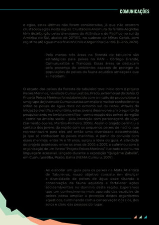 57
COMUNICAÇÕES
e eglas, estas últimas não foram consideradas, já que não ocorrem
crustáceos eglas nesta região. Crustáceos Anomura da família Aeglidae
têm distribuição pelas drenagens do Atlântico e do Pacífico no sul da
América do Sul, abaixo de 20º18’S, no sudeste de Minas Gerais, com
registros até águas mais frias do Chile e Argentina (Santos, Bueno, 2020).
Pelo menos três áreas na floresta de tabuleiro são
estratégicas para peixes no PAN - Córrego Grande,
Cumuruxatiba e Trancoso. Essas áreas se destacam
pela presença de ambientes capazes de proteger as
populações de peixes da fauna aquática ameaçada que
ali habitam.
O estudo dos peixes da floresta de tabuleiro teve início com o projeto
Peixes Meninos, na vila de Cumuruxatiba, Prado, extremo sul da Bahia. O
Projeto Peixes Meninos foi estabelecido com o intuito de proporcionar a
um grupo de jovens de Cumuruxatiba um maior e melhor conhecimento
sobre os peixes de água doce no extremo sul da Bahia. Através da
iniciação científica voluntária, estes jovens desenvolveram o espírito da
pesquisa tanto no âmbito científico – com o estudo dos peixes da região
– como no âmbito social – pela interação com personagens do lugar
(Sarmento-Soares, Martins-Pinheiro, 2006). Assim o projeto permitiu o
contato dos jovens da região com os pequenos peixes de riacho, que
representavam para eles até então uma diversidade desconhecida,
já que só conheciam os peixes marinhos. A partir do convívio com
esses meninos, entre 14 e 18 anos, surgiu a ideia do guia. A atividade
do projeto aconteceu entre os anos de 2005 a 2007, e culminou com a
organização de um livreto “Projeto Peixes Meninos” ilustrado e com uma
linguagem acessível, lançado durante a exposição “Quigême Zabellê”,
em Cumuruxatiba, Prado, Bahia (NEMA Cumuru, 2007).
Ao elaborar um guia para os peixes na Mata Atlântica
de Tabuleiros, nosso objetivo consiste em divulgar
a diversidade de peixes de água doce visando a
conservação da fauna aquática e fortalecer ações
socioambientais no domínio desta região. Esperamos
que um conhecimento mais apurado das espécies de
peixes possa ampliar a proteção destes organismos
aquáticos, culminando com a conservação dos rios, dos
solos e claro das pessoas do lugar.
 