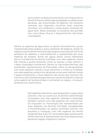 61
que ocupam os pequenos estuários, com largura de rio
de até 15 metros. Nestas águas salgadas ou salobras dos
estuários, são encontradas 18 espécies nos estuários
menores, seis migrantes marinhos, duas visitantes
marinhos, um anfídromo e ainda quatro visitantes de
água doce. Nesta avaliação, os estuários dos grandes
rios, como Doce, Mucuri e Jequitinhonha, não foram
investigados.
Dentre as espécies de água doce, os peixes Characiformes, grupo
representado pelas piabas e piaus, perfazem 36 espécies, sendo na
regiãoamaioriadafamíliaCharacidae.BagresecascudosSiluriformes
perfazem 34 espécies, e Gymnotiformes é representada por duas
espécies de sarapôa. Ainda em águas doces, outros habitantes
são os Cichliformes da família Cichlidae, com sete espécies, sendo
três nativas e quatro alóctones. Entre as nativas, a mais comum é
o beré, Geophagus brasiliensis. Dentre os Cyprinodontiformes, são
conhecidos representantes de Poeciliidae, como os barrigudinhos,
com duas espécies nativas e duas alóctones, e ainda os rivulídeos,
com sete espécies, sendo cinco de peixes anuais que habitam brejos
e poças temporárias, e duas espécies não anuais que ocorrem em
riachos ou são visitantes de água doce em estuários (Tabela 1). Apenas
uma espécie de Synbranchidae é conhecida na região, o mussum,
Synbranchus marmoratus.
Das espécies estuarinas, que frequentam a água doce
próximo a foz, os caramurus da família Ophichthidae
contribuem com três espécies, Gobiidae e Eleotridae
também contam com três espécies em cada família.
Os linguados ou maramaçás são representados por
nove espécies nas famílias Achiridae, Cynoglossidae
e Paralichthyidae. Os peixes cachimbo ocorrem nos
estuários e mangues, com três espécies da família
Syngnathidae. E por fim, Centropomidae, que faz parte
de Perciformes, é representado com duas espécies que
penetram lagoas marginais e riachos.
COMUNICAÇÕES
 