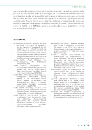 79
natural, sendo possível encontrá-la unicamente em cativeiro mantido pela
prática do aquarismo, visto que a criação de rivulídeos para venda é muito
acentuada e pode ser uma alternativa para a conservação e preservação
da espécie, se feita dentro das leis para tal atividade. Ophthalmolebias
constanciae figura como uma das 25 espécies ameaçadas de extinção
selecionadas para um programa de manejo ex-situ em convênio firmado
entre a AZAB e o ICMBio, sendo classificada nesse programa como
criticamente ameaçada.
REFERÊNCIAS
AZAB – Associação de Zoológicos e Aquários
do Brasil – Programa de Manejo ex
situ de Espécies Ameaçadas [Internet].
Disponível em: https://www.azab.org.
br/more/15/programa-de-manejo-ex-
situ-de-especies-ameacadas%20e%20
http://www.icmbio.gov.br/portal/ultimas-
noticias/20-geral/9899-acordo-em-prol-
de-25-especies-ameacadas-da-fauna
Costa WJEM. Pearl killifishes: the
Cynolebiatinae. Tfh Publications
Incorporated, 1996.
Costa WJEM. Phylogenetic and
biogeographicanalysisoftheNeotropical
annual fish genus Simpsonichthys
(Cyprinodontiformes: Rivulidae). Journal
of Comparative Biology. 1996; 1 (3/4).
Costa WJEM. Descriptive morphology and
phylogenetic relationships among
species of the Neotropical annual
killifish genera Nematolebias and
Simpsonichthys (Cyprinodontiformes:
Aplocheiloidei: Rivulidae). Neotropical
Ichthyology 4.1 (2006): 1-26.
Costa WJEM. Delimiting priorities while
biodiversityislost:Rio’sseasonalkillifishes
on the edge of survival. Biodiversity and
Conservation 21.10 (2012): 2443-2452.
Costa WJEM. A new genus of miniature
cynolebiasine from the Atlantic Forest
and alternative biogeographical
explanations for seasonal killifish
distribution patterns in South America
(Cyprinodontiformes: Rivulidae).
Vertebrate Zoology 64 (2014): 23-33.
Eschmeyer WN, Fong JD, editores . Espécie
por família / subfamília .[Citado em
22 dezembro de 2019]. Disponível em:
http://researcharchive.calacademy.
org/research/ichthyology/catalog/
fishcatmain.asp
ICMBIO – Instituto Chico Mendes de
Conservação da Biodiversidade -
Livro Vermelho da Fauna Brasileira
Ameaçada de Extinção [Internet].
Disponível em: http://icmbio.gov.br/
portal/images/stories/comunicacao/
publicacoes/publicacoes-diversas/livro_
vermelho_2018_vol1.pdf. 2018.
International Union for Conservation of
Nature (IUCN). Red List of Threatened
Species. Version 2018[Internet]. 2018.
Disponível em: http://www.iucnredlist.
org
Loureiro M, Sá R, Serra SW, Alonso F, Lanés
LEK, Volcan MV, et al. Review of the
family Rivulidae (Cyprinodontiformes,
Aplocheiloidei) and a molecular and
morphological phylogeny of the annual
fish genus Austrolebias Costa 1998.
Neotropical Ichthyology 16.3 (2018)
Ponzetto, JM. Relações filogenéticas e
filogeografia molecular das espécies de
peixes anuais do gênero Simpsonichthys
(Cyprinodontiformes: Rivulidae). (2012).
PEIXE DA VEZ
 