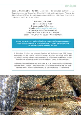 Sede Administrativa da SBI: Laboratório de Estudos Subterrâneos,
Departamento de Ecologia e Biologia Evolutiva, Universidade Federal de
São Carlos - UFSCar, Rodovia Washington Luís, km 235, Caixa Postal 676,
13565-905, São Carlos, SP, Brasil.
BOLETIM SBI, N° 131
Edição: Diretoria da SBI
Diagramação: Rafael Leme
Email: : boletim.sbi@gmail.com
Homepage: http://www.sbi.bio.br
Fotografias que ilustram essa edição:
José Sabino, Leandro Sousa e Marcelo Melo
Importante: Os conceitos, ideias e comentários expressos no
Boletim da Sociedade Brasileira de Ictiologia são de inteira
responsabilidade de seus autores.
A Sociedade Brasileira de Ictiologia, fundada a 2 de fevereiro de 1983, é uma
associação civil de caráter científico-cultural, sem fins lucrativos, legitimada
durante o I Encontro Brasileiro de Ictiologia, como atividade paralela ao X Congresso
Brasileiro de Zoologia, e tendo como sede e foro a cidade de São Paulo (SP).
Utilidade Pública Municipal: Decreto Municipal n. 36.331 de 22 de agosto de 1996, São Paulo
Utilidade Pública Estadual: Decreto Estadual n. 42.825 de 20 de janeiro de 1998, São Paulo
Utilidade Pública Federal: Portaria Federal n. 373 de 12 de maio de 2000, Brasília, DF
94
EXPEDIENTE
94
 