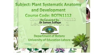 Dr Saman Zulfiqar
 