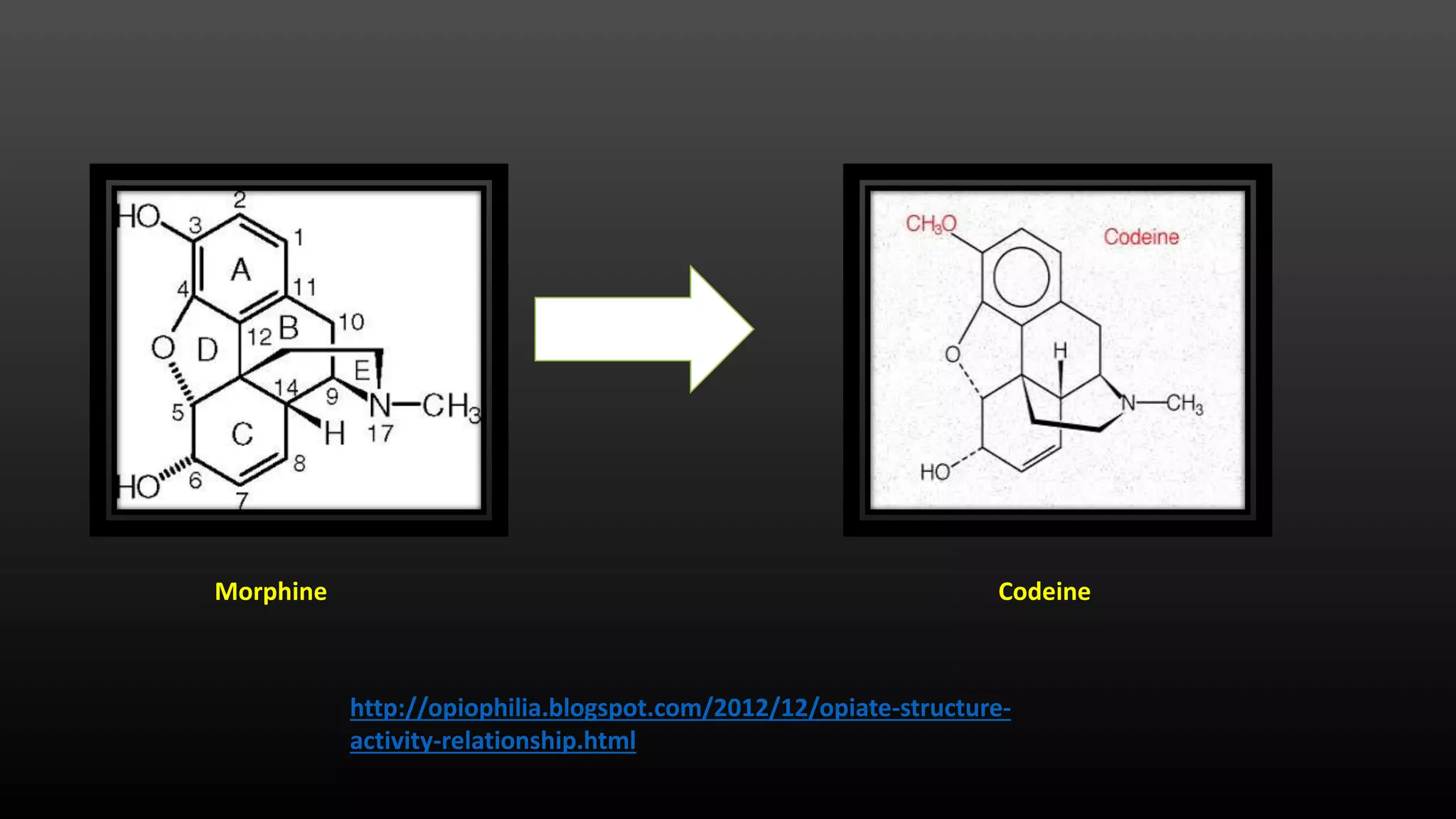 Morphine Codeine
http://opiophilia.blogspot.com/2012/12/opiate-structure-
activity-relationship.html
 