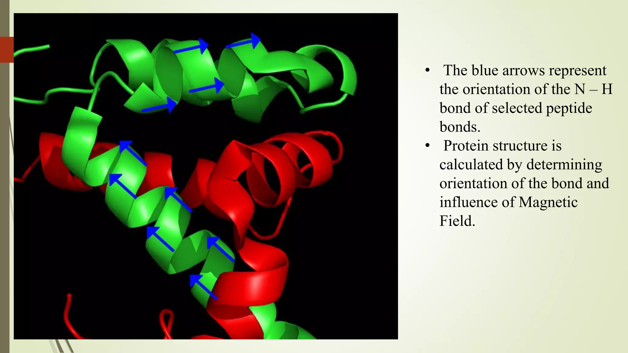 • The blue arrows represent
the orientation of the N – H
bond of selected peptide
bonds.
• Protein structure is
calculated by determining
orientation of the bond and
influence of Magnetic
Field.
 