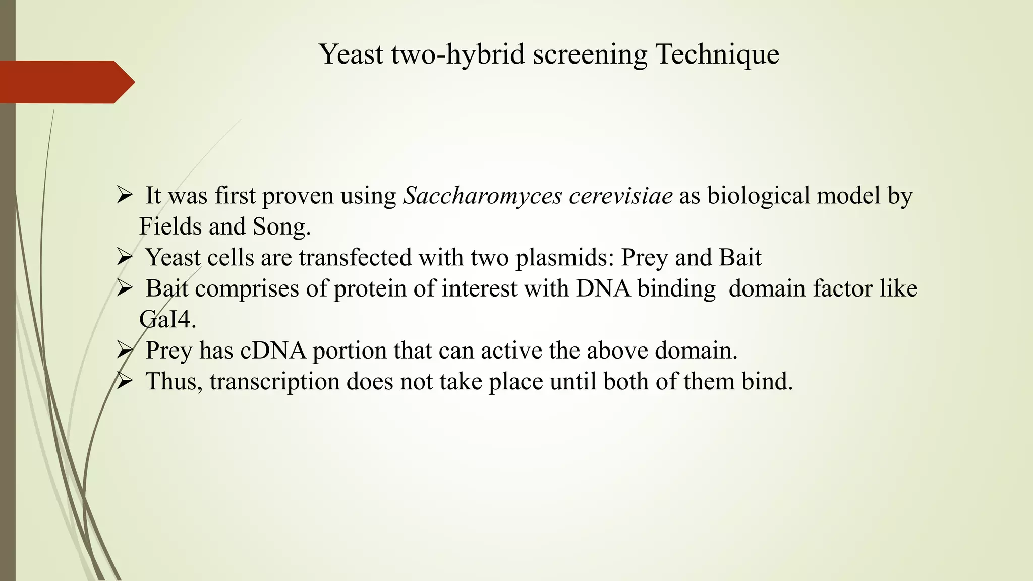 Yeast two-hybrid screening Technique
 It was first proven using Saccharomyces cerevisiae as biological model by
Fields and Song.
 Yeast cells are transfected with two plasmids: Prey and Bait
 Bait comprises of protein of interest with DNA binding domain factor like
GaI4.
 Prey has cDNA portion that can active the above domain.
 Thus, transcription does not take place until both of them bind.
 