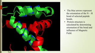 • The blue arrows represent
the orientation of the N – H
bond of selected peptide
bonds.
• Protein structure is
calculated by determining
orientation of the bond and
influence of Magnetic
Field.
 