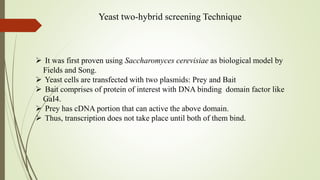 Yeast two-hybrid screening Technique
 It was first proven using Saccharomyces cerevisiae as biological model by
Fields and Song.
 Yeast cells are transfected with two plasmids: Prey and Bait
 Bait comprises of protein of interest with DNA binding domain factor like
GaI4.
 Prey has cDNA portion that can active the above domain.
 Thus, transcription does not take place until both of them bind.
 