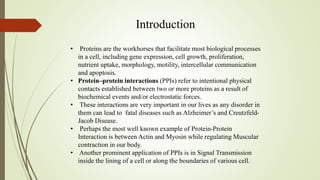 Introduction
• Proteins are the workhorses that facilitate most biological processes
in a cell, including gene expression, cell growth, proliferation,
nutrient uptake, morphology, motility, intercellular communication
and apoptosis.
• Protein–protein interactions (PPIs) refer to intentional physical
contacts established between two or more proteins as a result of
biochemical events and/or electrostatic forces.
• These interactions are very important in our lives as any disorder in
them can lead to fatal diseases such as Alzheimer’s and Creutzfeld-
Jacob Disease.
• Perhaps the most well known example of Protein-Protein
Interaction is between Actin and Myosin while regulating Muscular
contraction in our body.
• Another prominent application of PPIs is in Signal Transmission
inside the lining of a cell or along the boundaries of various cell.
 