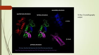 X-Ray Crystallography
output
 