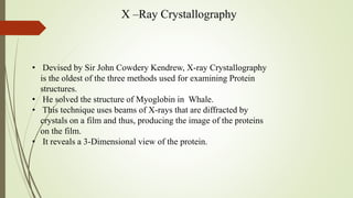 X –Ray Crystallography
• Devised by Sir John Cowdery Kendrew, X-ray Crystallography
is the oldest of the three methods used for examining Protein
structures.
• He solved the structure of Myoglobin in Whale.
• This technique uses beams of X-rays that are diffracted by
crystals on a film and thus, producing the image of the proteins
on the film.
• It reveals a 3-Dimensional view of the protein.
 