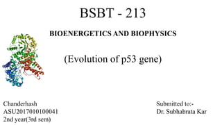 Evolution of p53 gene within living orgaism