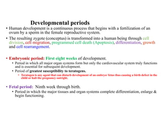 Developmental periods
• Human development is a continuous process that begins with a fertilization of an
ovum by a sperm in the female reproductive system.
• The resulting zygote (conceptus) is transformed into a human being through cell
division, cell migration, programmed cell death (Apoptosis), differentiation, growth
and cell rearrangement.
• Embryonic period: First eight weeks of development.
• Period in which all major organ systems form but only the cardiovascular system truly functions
and is essential for subsequent development.
• Period of greatest susceptibility to teratogens.
• Teratogen is any agent that can disturb development of an embryo/ fetus thus causing a birth defect in the
child or halt the pregnancy outright.
• Fetal period: Ninth week through birth.
• Period in which the major tissues and organ systems complete differentiation, enlarge &
begin functioning.
 