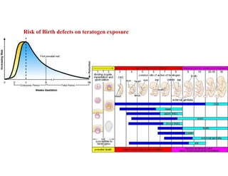 Risk of Birth defects on teratogen exposure
 