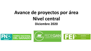 Avance de proyectos por área
Nivel central
Diciembre 2020
 