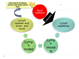 Blood
capillaries
Lymph
capillaries
Lymp
h
vesse
ls
Lymp
h
nodes
Lymph
vessels and
ducts and
ducts
JUNCTION OF INTERNAL
JUGULR AND SUBCLAVIAN
VEIN
 