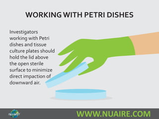 WORKING WITH PETRI DISHES 
WWW.NUAIRE.COM 
Investigators 
working with Petri 
dishes and tissue 
culture plates should 
hold the lid above 
the open sterile 
surface to minimize 
direct impaction of 
downward air. 
 