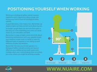 POSITIONING YOURSELF WHEN WORKING 
WWW.NUAIRE.COM 
Working in a biological safety cabinet requires 
repetitive work. Ergonomics plays a huge role 
during your time in front of a biological safety 
cabinet. 
A good laboratory chair helps a ton. Remember 90 
degree angles can help prevent work place injuries. 
A straight upright back can save you from pain in 
the long run. Over extending your arms can cause 
stress on your shoulders and back. 
Remember to keep straight wrists and think about 
becoming ambidextrous with your pipette to give 
your tendons a reset once in a while or even try 
different types of pipettes in one sitting to work 
different muscles and tendons. 
Remember the way you sit and operate in a 
Biological Safety Cabinet not only can have an 
effect on your wellbeing but could cause work 
mishaps when your concentrating more on a sharp 
pain than where you might be sticking a needle. 
90° Seating Angle 90° Knee Angle Foot Rest Straight Wrists 
 