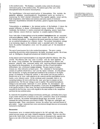 BSc-Zoology-02Sem-DrVijay-Comparative anatomy of vertebrates.pdf