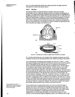 BSc-Zoology-02Sem-DrVijay-Comparative anatomy of vertebrates.pdf