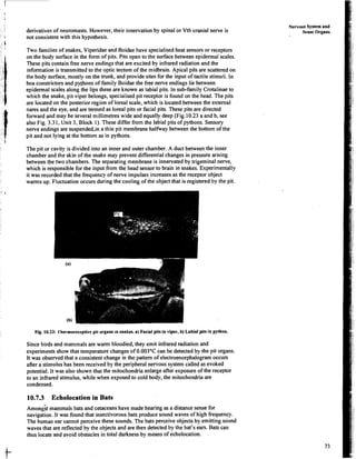 BSc-Zoology-02Sem-DrVijay-Comparative anatomy of vertebrates.pdf