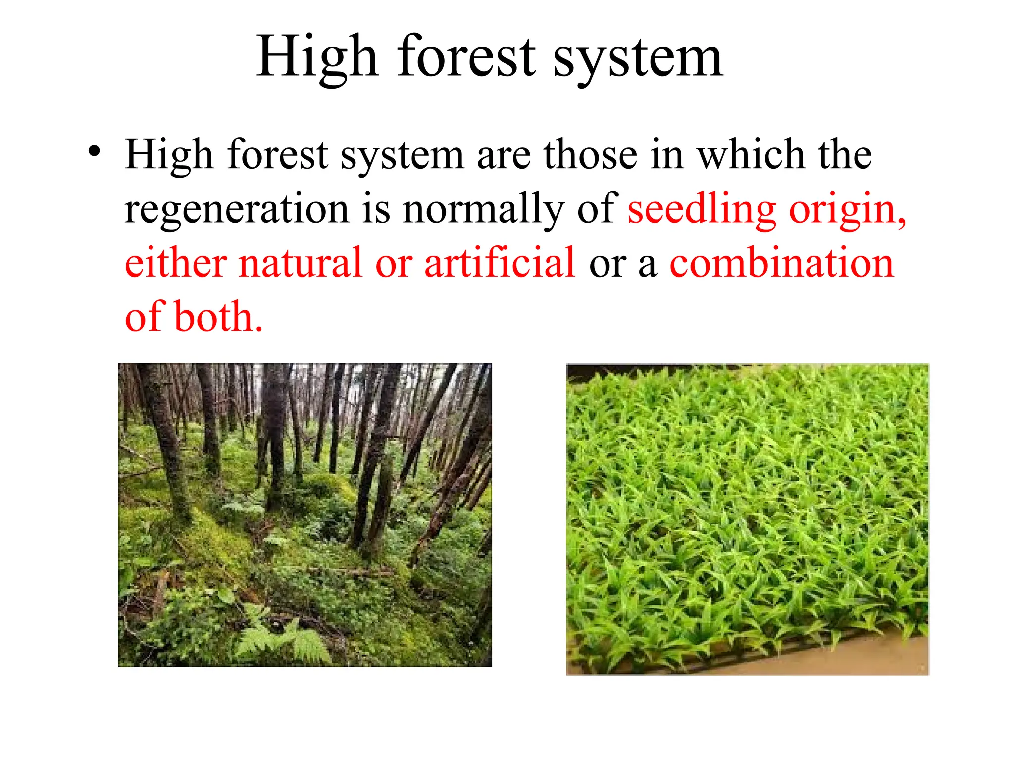 High forest system
• High forest system are those in which the
regeneration is normally of seedling origin,
either natural or artificial or a combination
of both.
 