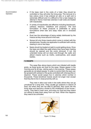 Accommodation
Operation
100
· If the bees nest in the voids of a hotel, they should be
controlled or they will enter the living area. The removal of a
bee colony once it has entered an attic or a wall void is
extremely difficult and it is difficult to find a bee keeper to
attempt it. Hence most bee colonies in wall voids are treated
with insecticides.
· A variety of insecticides are effective including bendiocard,
carbaryl, diazinon, malathion and porpoxur. The dust
formulation of these products is preferable to spray
formulations when bee and wasp nests are in enclosed
places.
· Dust has the advantage of being widely distributed by the
insects as they move around in the nest.
· Sprays kill only those insects which come in contact with the
sprayed area. Usually one application is sufficient with activity
ceasing in one or two days.
· Nests should be treated at night to avoid getting stung. Once
the bees are killed the walls where they have been nesting
should be opened and the comb removed. If not, the
untended honey will run down and through the walls and
attract insects such as moths, cockroaches, and carpet
beetles.
7.8 WASPS
The wasp flies above lawns which are infested with beetle
grubs, as these grubs are food for the wasp. Wasps appear in the
morning and fly all day, retiring early in the evening. These wasps
generally do not attack people. In order to control them the lawn can
be sprayed with carbaryl or the grubs controlled with chloropyrifos or
diazinon. These social wasps live in colonies which number in
thousands. These beneficial insects would not anger man except
that they like to live in close proximity with us.
They nest in attics and voids in the walls where they can go
unnoticed for a long time. They usually go outdoors in search of
food, but when they are not able to get food, they come into the
living area and become a threat to the inhabitants of the house /
rooms. They feed in trash cans, and enjoy our food and they resent
our efforts to keep them away from our food. When this happens
they need to be controlled.
Figure 7.5 Wasp
This watermark does not appear in the registered version - http://www.clicktoconvert.com
 