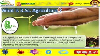 B.Sc. Agriculture, also known as Bachelor of Science in Agriculture, is an undergraduate
degree program that focuses on various aspects of agriculture, including crop production,
agricultural economics, animal husbandry, soil science, horticulture, agricultural
engineering, and agricultural marketing.
 