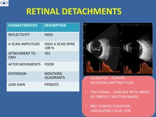 Retinal Undulation B SCAN . TECHNIQUES , PROBE POSITIONS , INDICATIONS | PPTX