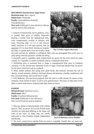 Bsc bio practical file for 3rd year bachelor of science | PDF