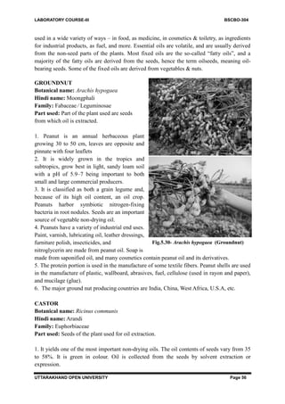 Bsc bio practical file for 3rd year bachelor of science | PDF
