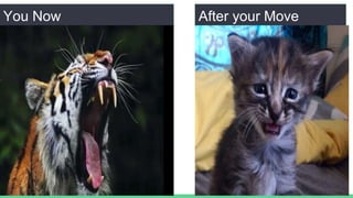 You Now After your Move
 