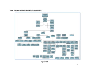 1.1.4. ORGANIZACIÓN, UNIDADES DE NEGOCIO.




                                       Figura N°1

                                                    7
 