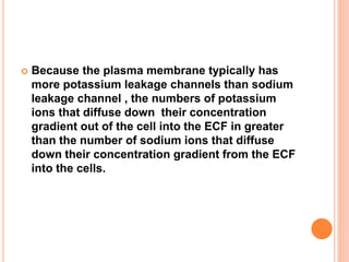  Because the plasma membrane typically has
more potassium leakage channels than sodium
leakage channel , the numbers of potassium
ions that diffuse down their concentration
gradient out of the cell into the ECF in greater
than the number of sodium ions that diffuse
down their concentration gradient from the ECF
into the cells.
 