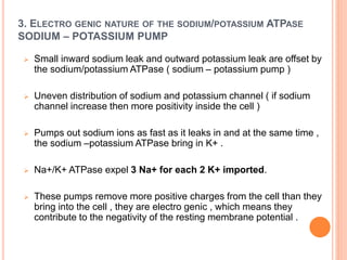 3. ELECTRO GENIC NATURE OF THE SODIUM/POTASSIUM ATPASE
SODIUM – POTASSIUM PUMP
 Small inward sodium leak and outward potassium leak are offset by
the sodium/potassium ATPase ( sodium – potassium pump )
 Uneven distribution of sodium and potassium channel ( if sodium
channel increase then more positivity inside the cell )
 Pumps out sodium ions as fast as it leaks in and at the same time ,
the sodium –potassium ATPase bring in K+ .
 Na+/K+ ATPase expel 3 Na+ for each 2 K+ imported.
 These pumps remove more positive charges from the cell than they
bring into the cell , they are electro genic , which means they
contribute to the negativity of the resting membrane potential .
 