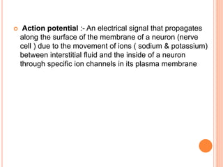  Action potential :- An electrical signal that propagates
along the surface of the membrane of a neuron (nerve
cell ) due to the movement of ions ( sodium & potassium)
between interstitial fluid and the inside of a neuron
through specific ion channels in its plasma membrane
 